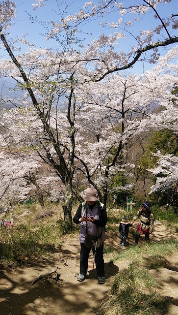 b0113219_11013767.jpg
