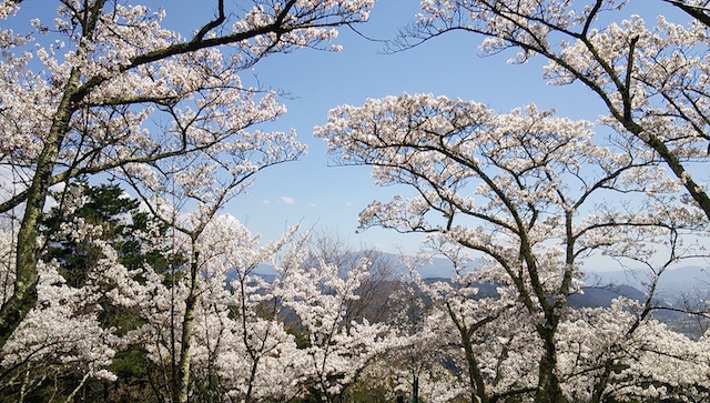 b0113219_11013868.jpg