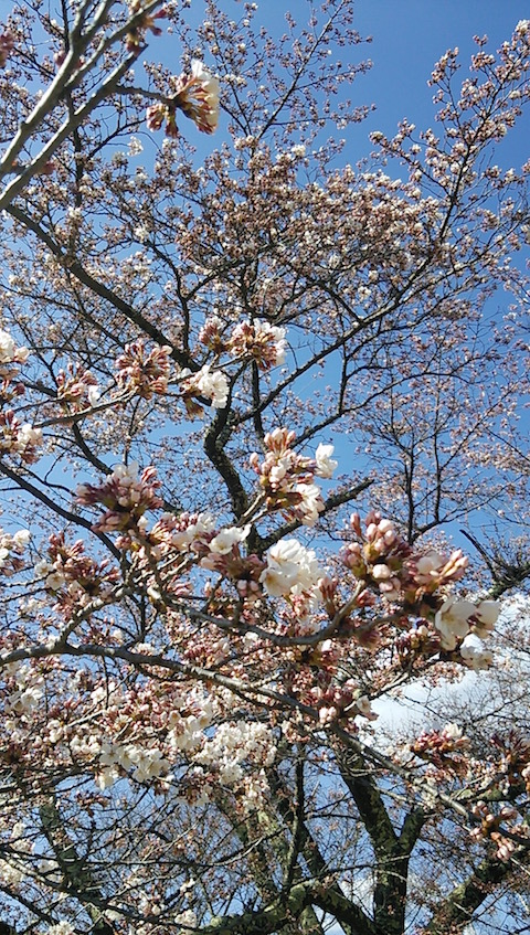 b0113219_11073699.jpg