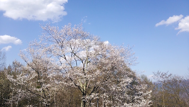 b0113219_11073795.jpg