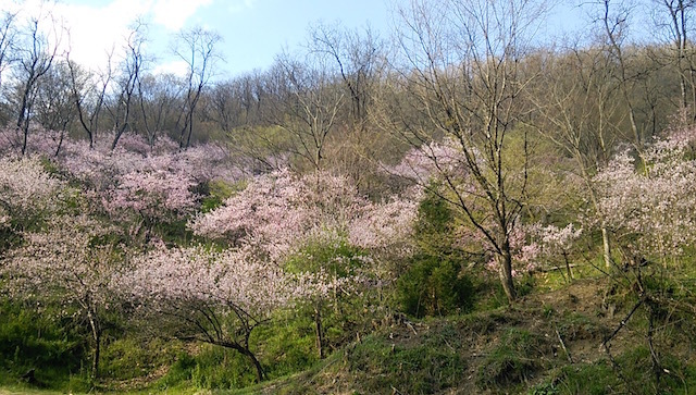 b0113219_11103625.jpg