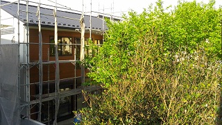d0096520_1114738.jpg