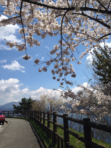 4月23日 富士山_d0165420_11264566.jpg