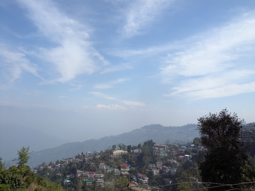 b0158721_65350.jpg