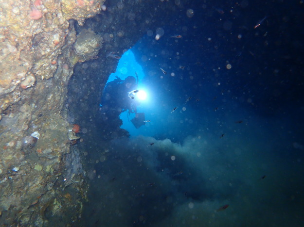c0115421_20271011.jpg