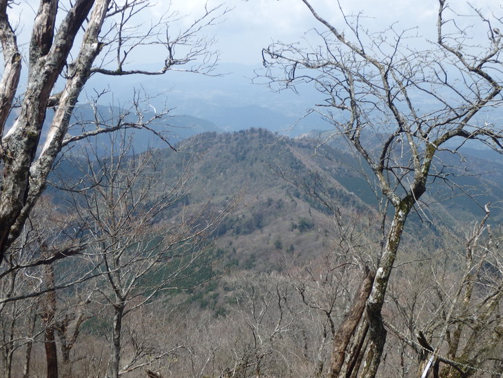 天主山（小松神社～天主山～西尾根～北内林道～小松神社）ＮＯ２_f0193521_83091.jpg