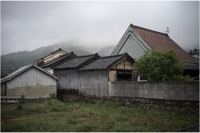 1781 雨（安静療養療養中、雨だって、プロター40㎜もったら、さあ出陣！）Part 2_b0226423_1042386.jpg