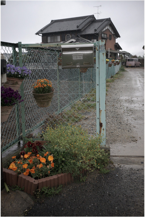 1781 雨（安静療養療養中、雨だって、プロター40㎜もったら、さあ出陣！）Part 2_b0226423_1044572.jpg