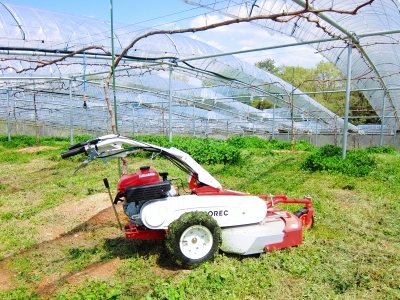 自走式での草刈り_d0336530_20372671.jpg