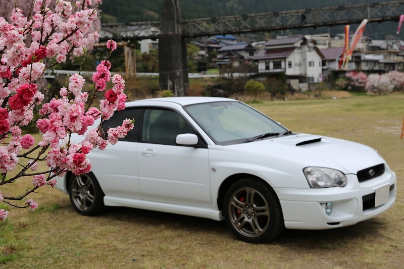 御岳ロープウエイでゴールデンウイークを楽しむ_f0076731_13314624.jpg