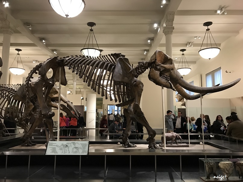 ニューヨーク旅行のつづき。メトロポリタン美術館＆博物館巡り_f0023333_19182911.jpg