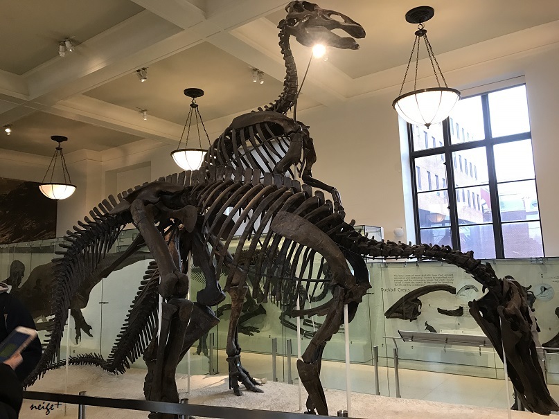 ニューヨーク旅行のつづき。メトロポリタン美術館＆博物館巡り_f0023333_19183393.jpg