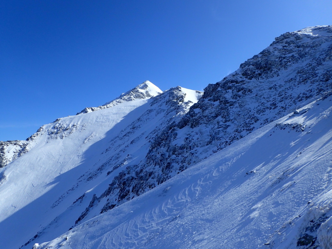 d0169937_20113152.jpg