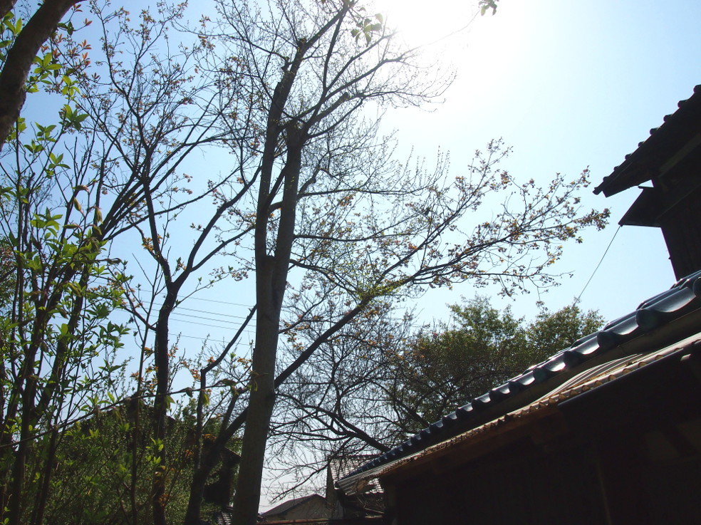 b0237338_14021829.jpg