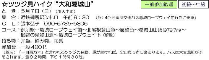 e0371039_649845.png