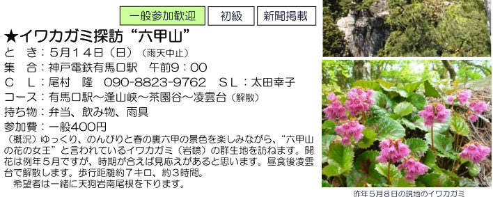 e0371039_6515615.png