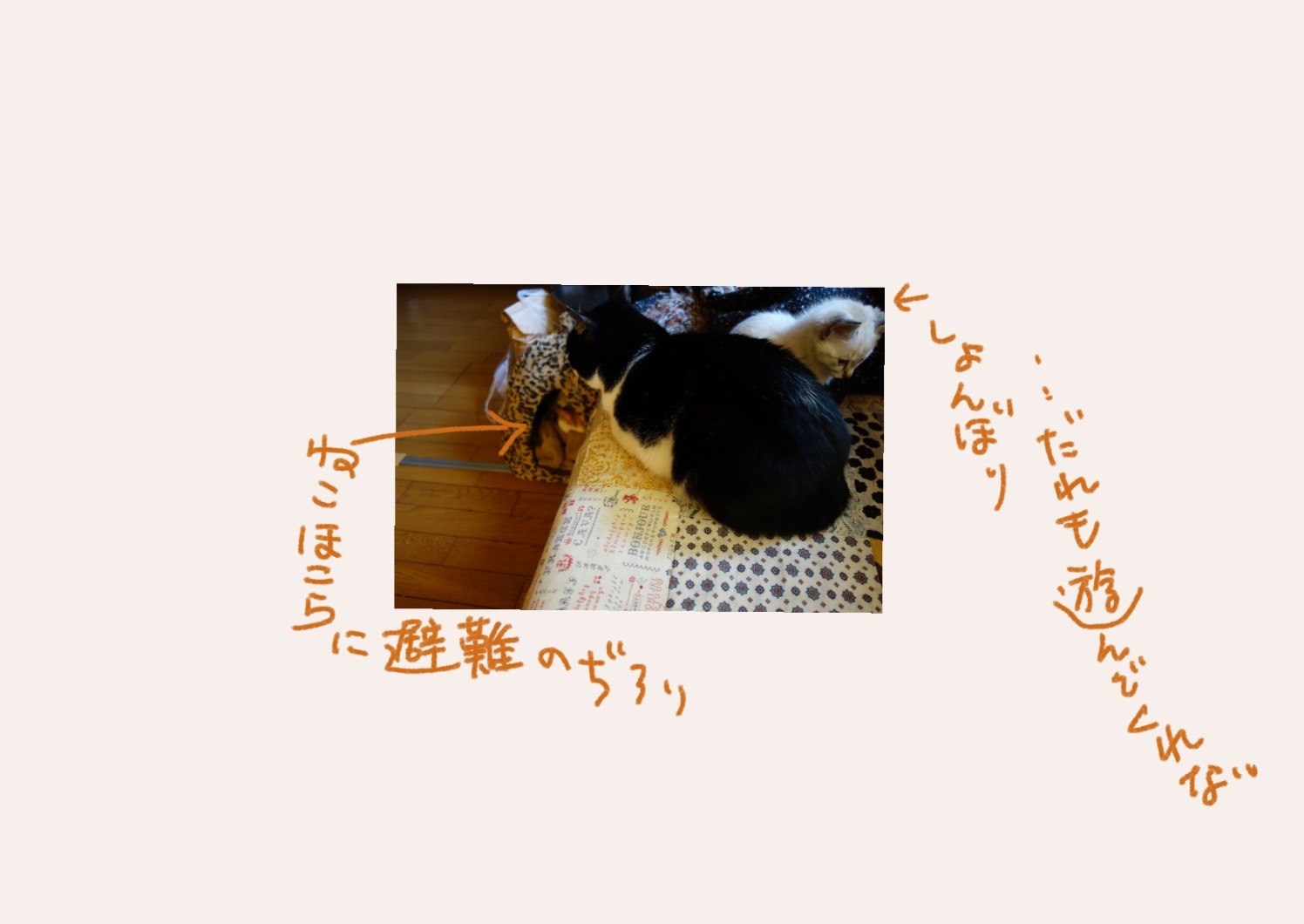 d0101846_06145873.png
