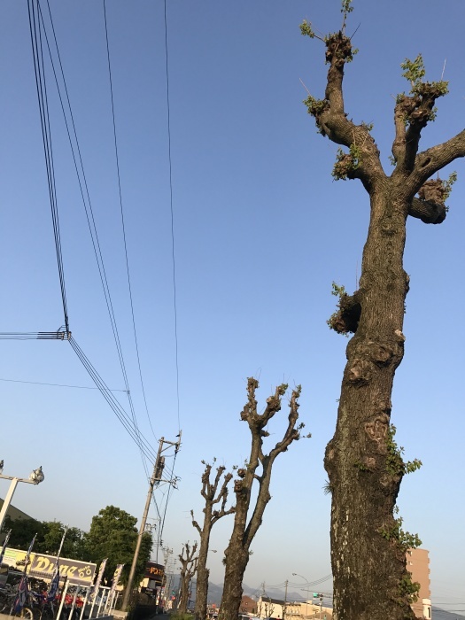 少し肌寒い1日でした。_f0178858_18160227.jpg