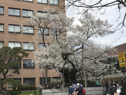 c0177259_22093405.jpg