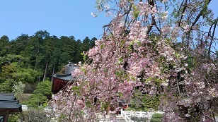 久しぶりに_a0102461_13164629.jpg