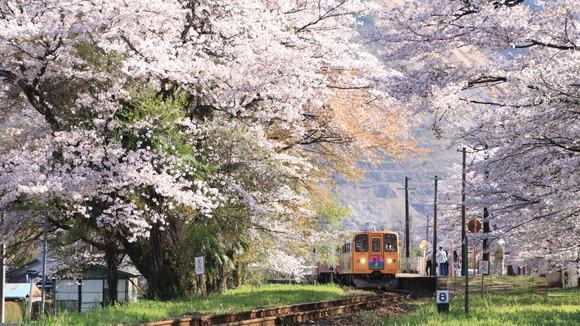 2017年　樽見鉄道　春　谷汲口駅にて！_d0202264_13214230.jpg