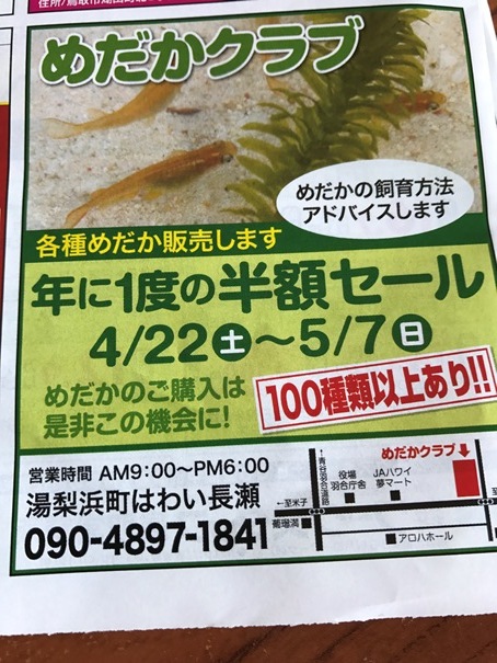 ランチタイムにお店で料理を待てない人は、さびしい老後が待っていると思うよ。_f0009169_08423675.jpg