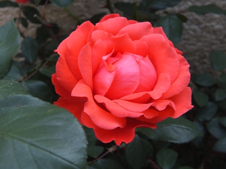 b0214473_1313277.jpg