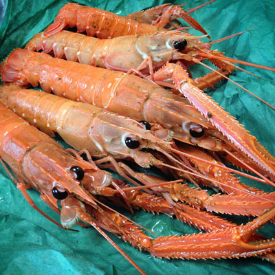 海の食材が楽しいです!_f0054977_19122813.jpg