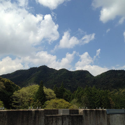海の食材が楽しいです!_f0054977_19504366.jpg
