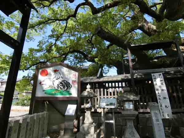 (山王)三島神社(みつしま)_a0045381_15323674.jpg