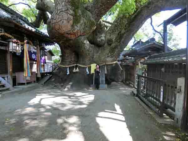 (山王)三島神社(みつしま)_a0045381_15324172.jpg