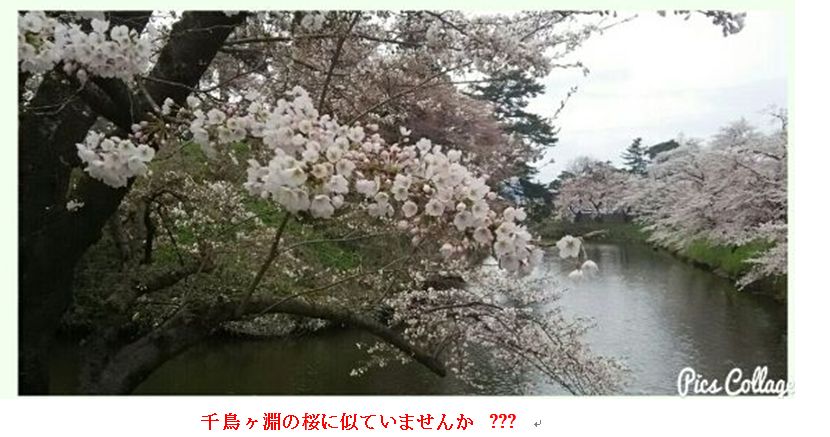 c0111581_11421512.jpg