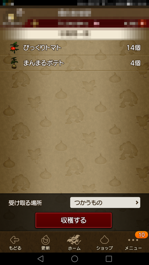 沢山トマトが取れたため カレーにぶち込み煮込むのだーw美味し まるねた ドラクエ10 沢山トマトが取れたため カレーにぶち込み煮込むのだーw美味し まるねた ドラクエ10