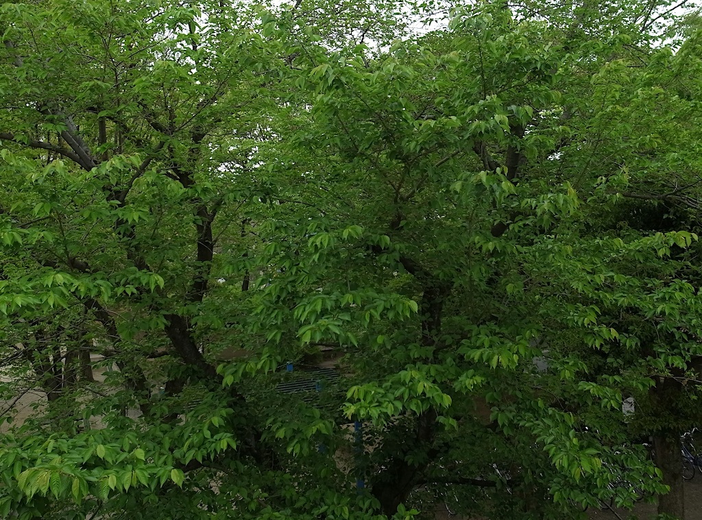 f0108399_02333783.jpg