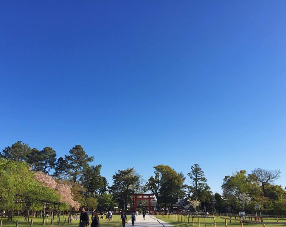 【 4月 上賀茂神社の手づくり市 】 ありがとうございました ◎_c0199402_11174126.jpg