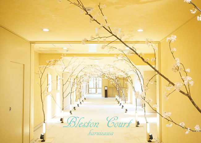 春爛漫 桜満開 ホテルブレストンコート きれいの瞬間 写真で伝えるstory