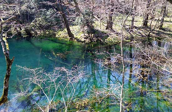 c0009413_21371595.jpg