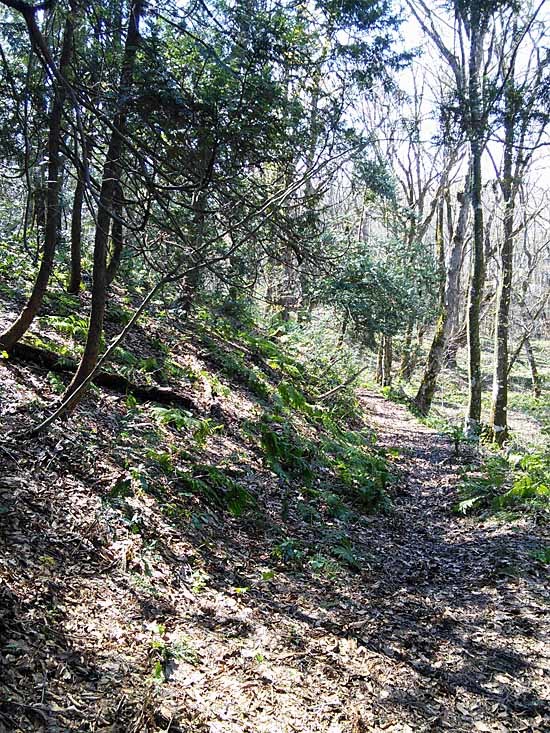 c0009413_21374845.jpg