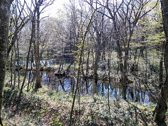 c0009413_21382067.jpg