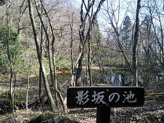 c0009413_21401447.jpg
