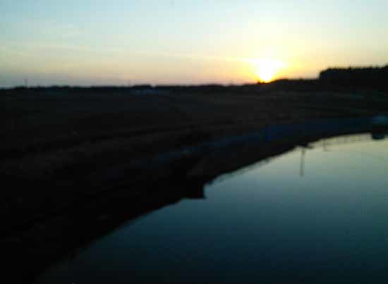 c0009413_21444854.jpg