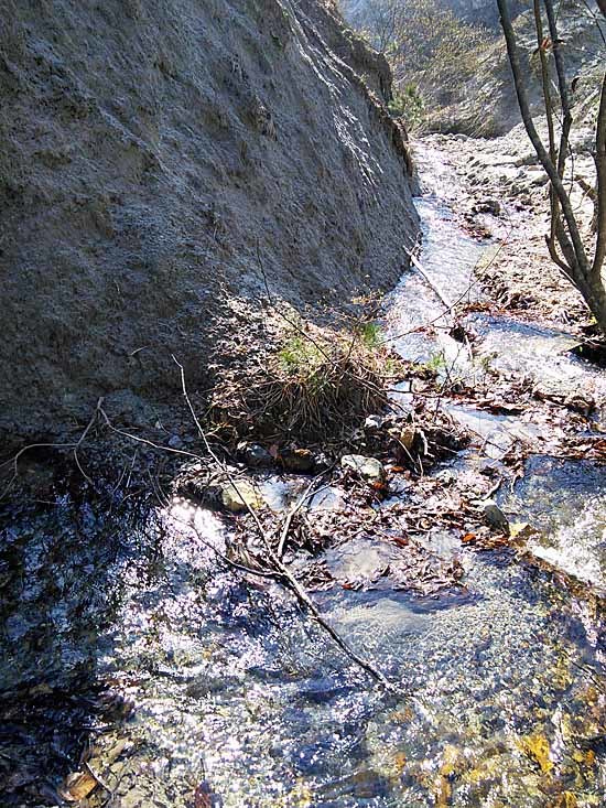 c0009413_21531963.jpg