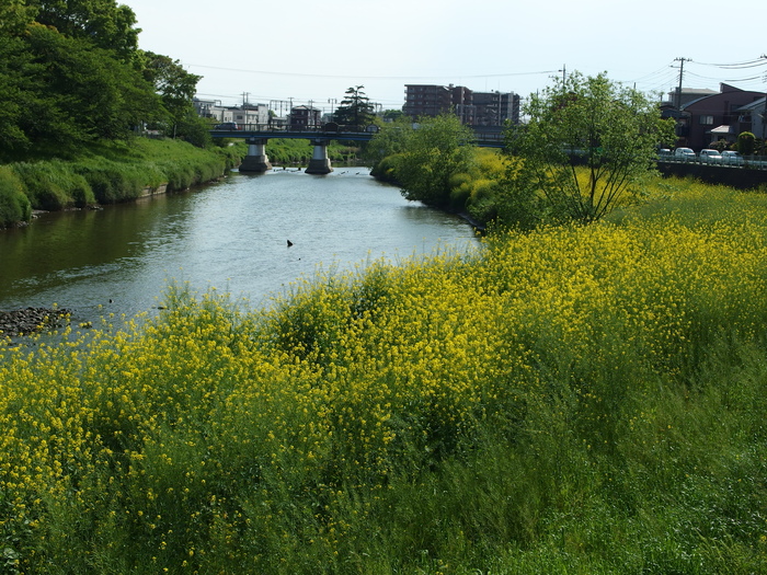 c0022113_23445810.jpg
