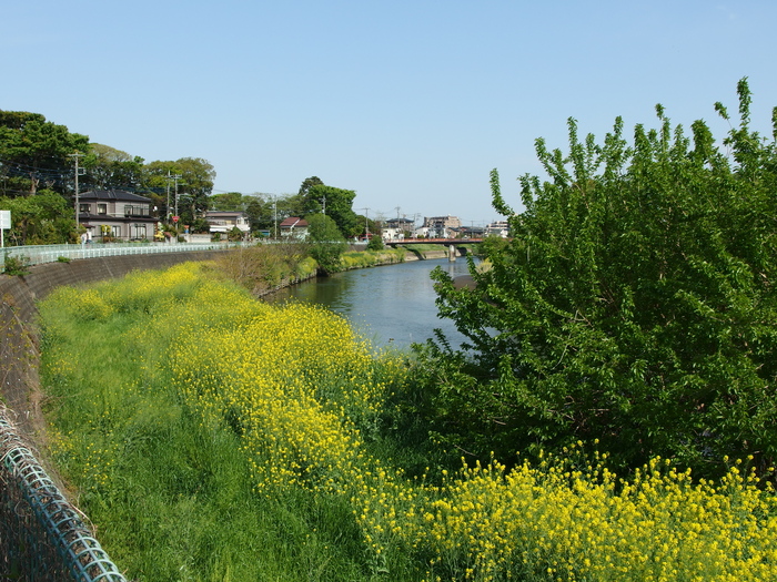 c0022113_23452187.jpg