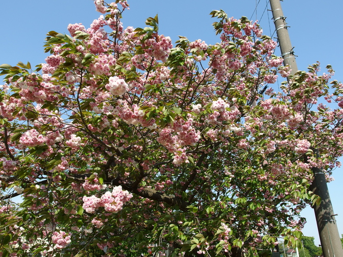 c0022113_23453771.jpg