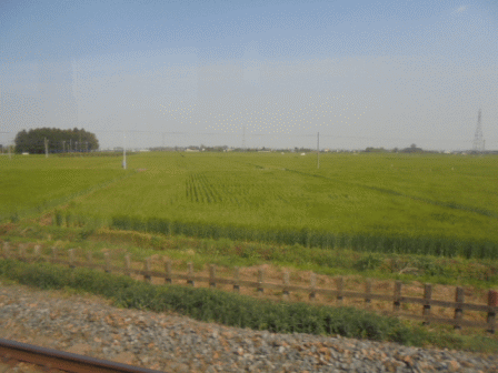 b0017215_18130025.gif