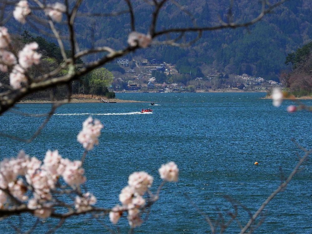 b0204819_21103392.jpg