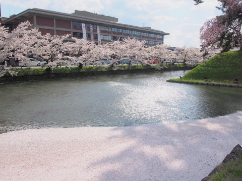 弘前公園の桜*2017.04.27_b0147224_0442941.jpg