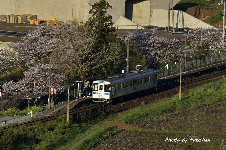 a0158226_20321165.jpg