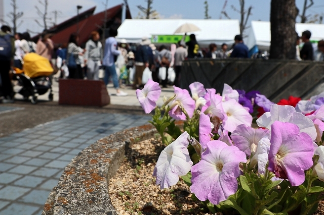 a0242438_19351157.jpg
